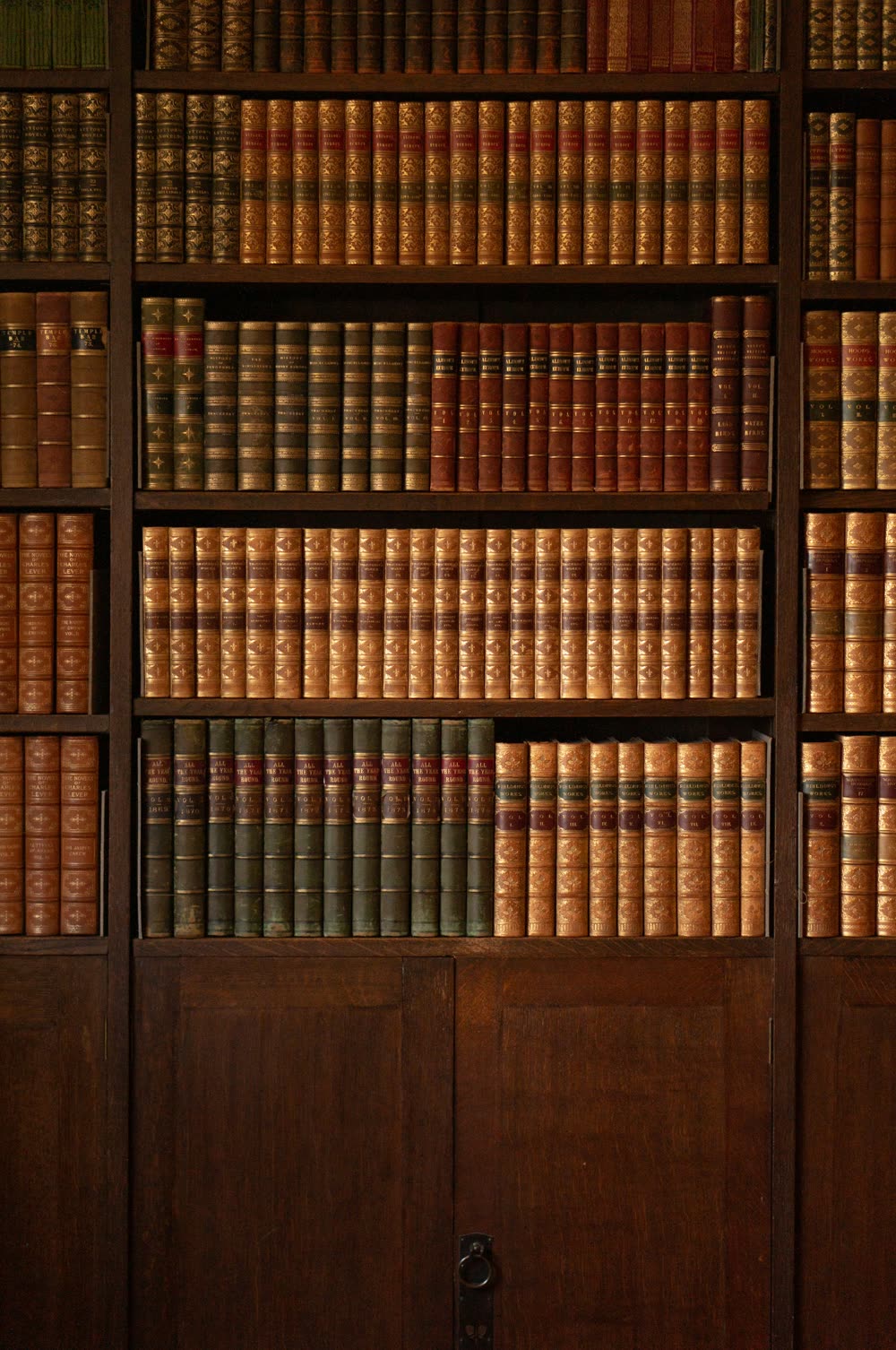 Leather-bound law books on wooden shelves